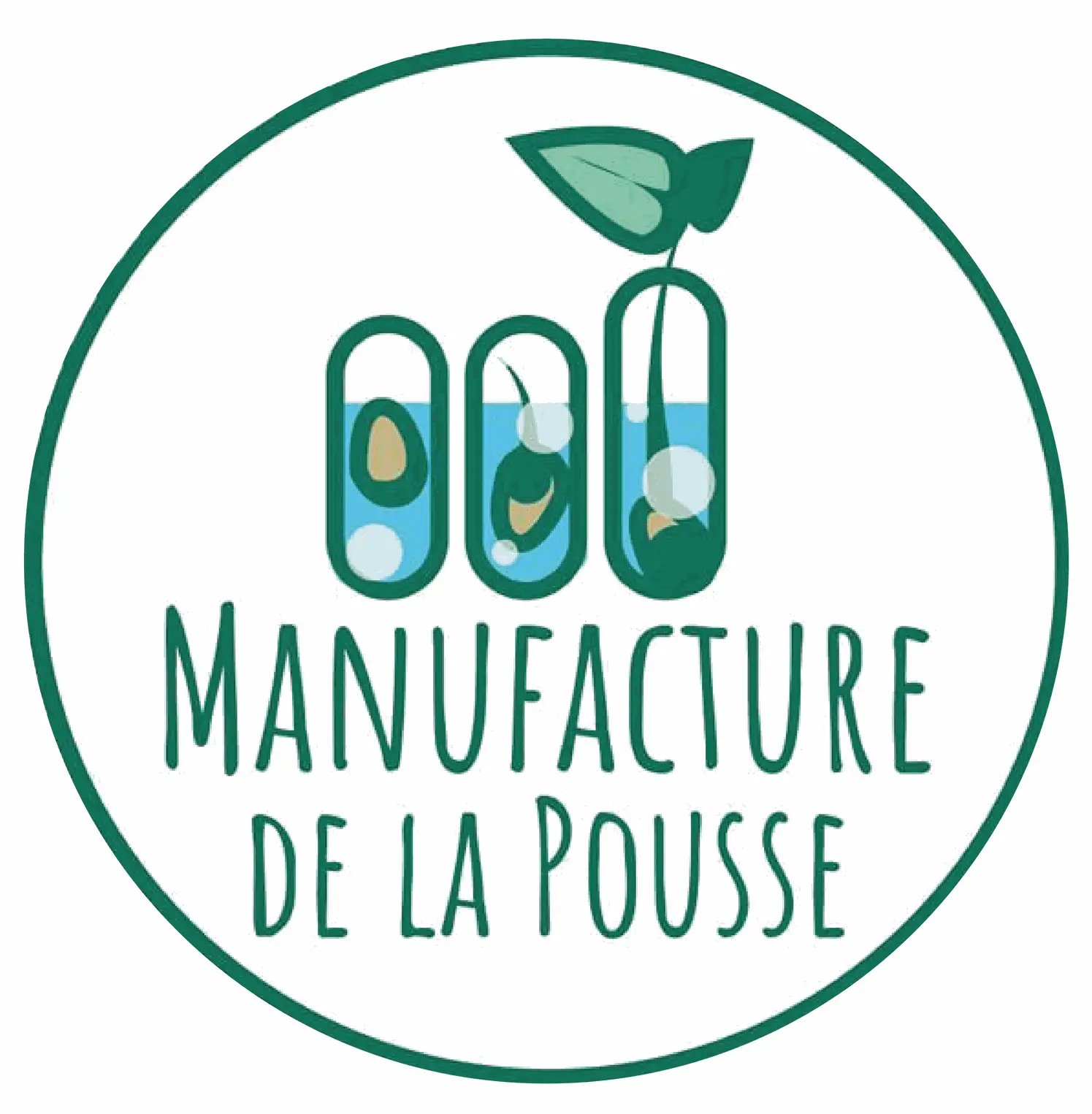 Manufacture de la pousse Plantes d'intérieurs